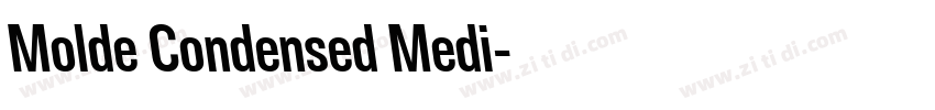 Molde Condensed Medi字体转换